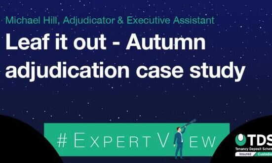 #ExpertView: Leaf it out - Autumn adjudication case study