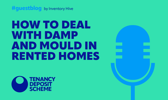 How to deal with damp and mould in rented homes